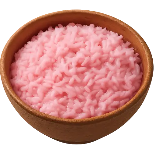 Solkadhi Rice