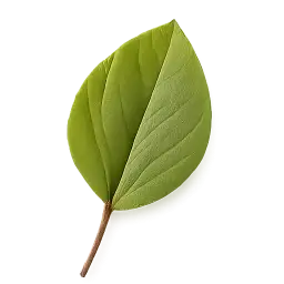 Amaranth Leaf