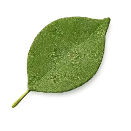 Ambadi Leaf