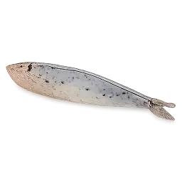 Anchovy