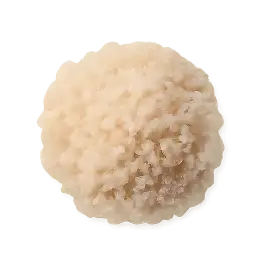Arborio rice