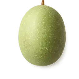 Ash Gourd