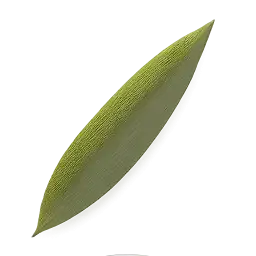Bamboo Leaf