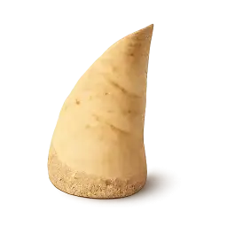 Bamboo Shoot