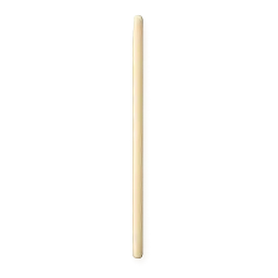 Bamboo Skewer