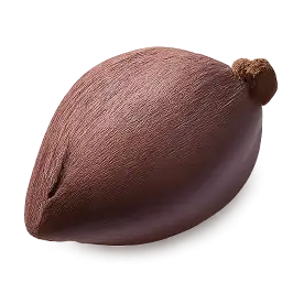 Banana Blossom