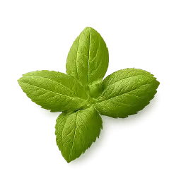 Basil