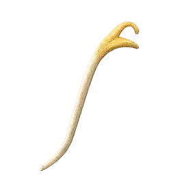 Bean Sprout
