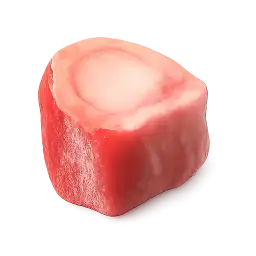 Beef Bone