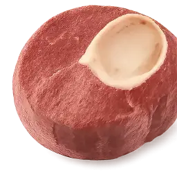 beef shank