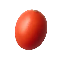 Ber Fruit