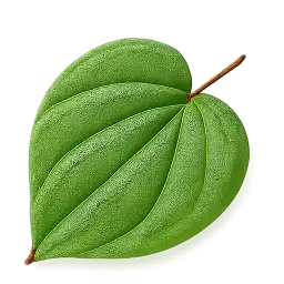 Betel Leaf