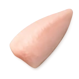 Bhetki Fish Fillet