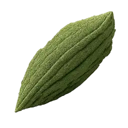 Bitter Gourd