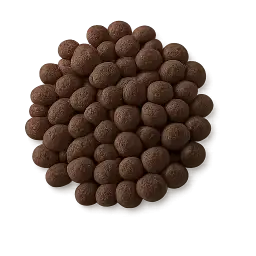 Black Chickpea