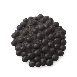 Black Gram