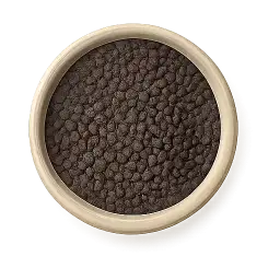 Black Gram Lentil
