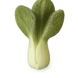 Bok Choy