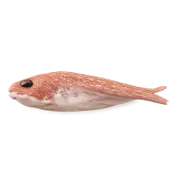 Bombay Duck