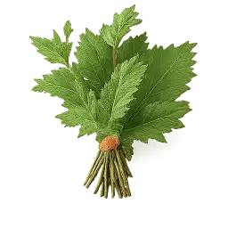 Bouquet Garni