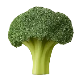 Broccoli