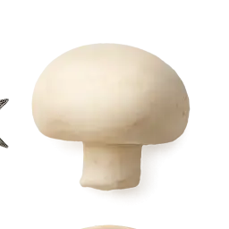 Button Mushroom