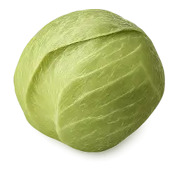 Cabbage