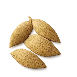 cardamom