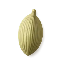 Cardamom Pod