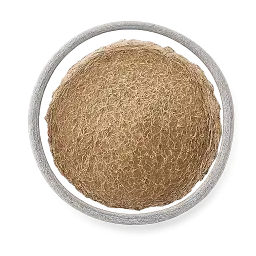 Carom Seed