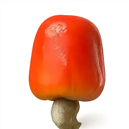 Cashew Apple