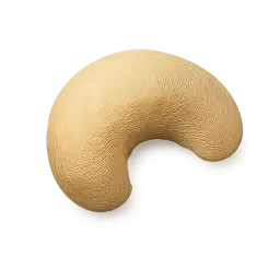 Cashew Nut