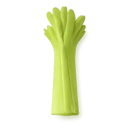 Celery