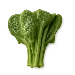 Chinese Broccoli