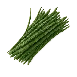 Chive