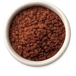 Chocolate Sprinkle