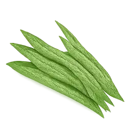 Cluster Bean