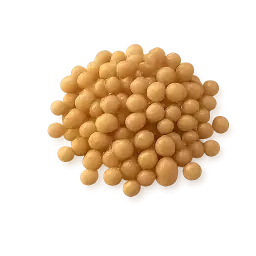 Coriander Seed