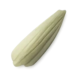 Corn Husk