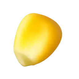 Corn Kernel