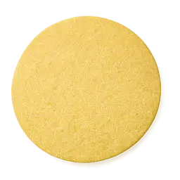 Corn Tortilla