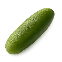 Cucumber
