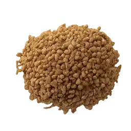 Cumin Seed