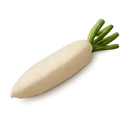 Daikon Radish