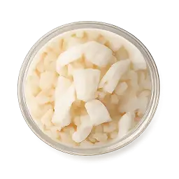 dried coconut