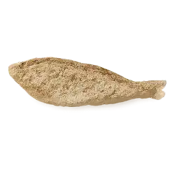 Dried Fish