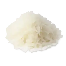 dry coconut