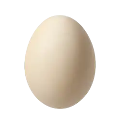Duck Egg
