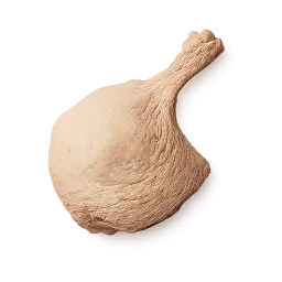 Duck Leg