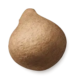 Elephant Foot Yam